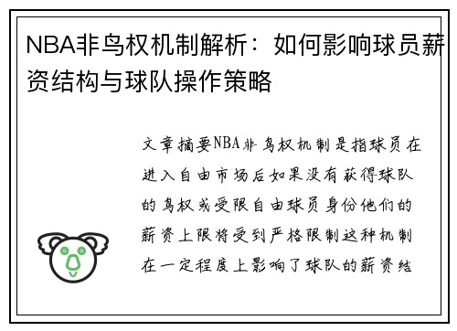 NBA非鸟权机制解析：如何影响球员薪资结构与球队操作策略