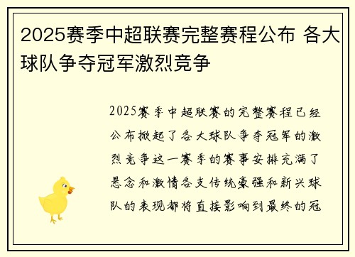2025赛季中超联赛完整赛程公布 各大球队争夺冠军激烈竞争