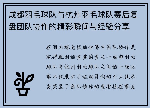 成都羽毛球队与杭州羽毛球队赛后复盘团队协作的精彩瞬间与经验分享